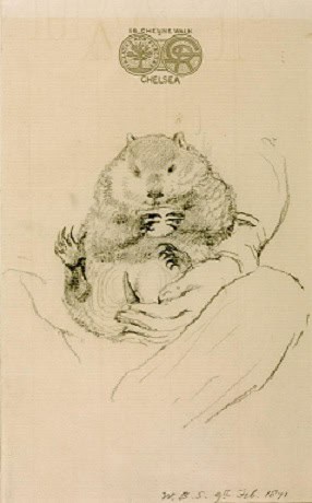 Drawing of wombat on Rossetti's lap